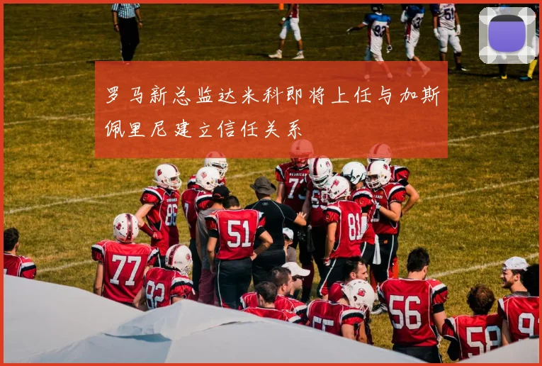 罗马新总监达米科即将上任与加斯佩里尼建立信任关系