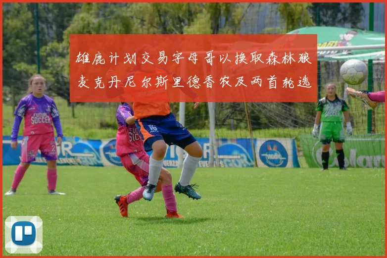 雄鹿计划交易字母哥以换取森林狼麦克丹尼尔斯里德香农及两首轮选秀权